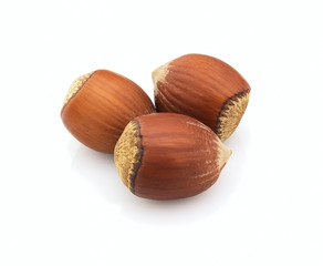 Dried hazelnuts