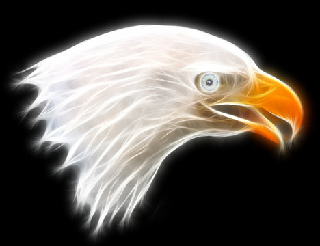Fractal Eagle Illustration