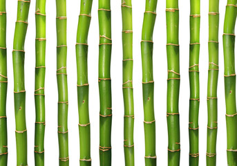 Bamboe achtergrond