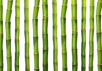 Wall murals Bamboo Bamboo background