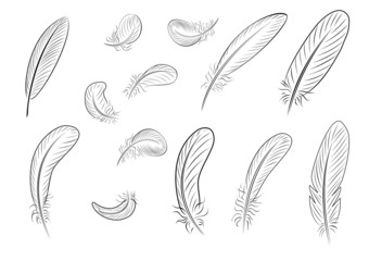 Feathers, painted with thin black lines