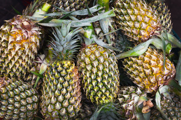 Pile of fresh pineapples