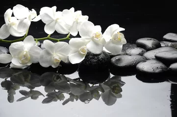 Fotobehang Orchidee Close-up witte orchidee met stenen waterdruppels