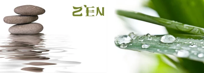  zen banner © pixarno