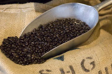 Kaffeebohnen mit Schütte