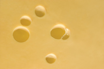 Swiss cheese background, texture closeup