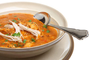 Spicy Chicken Soup