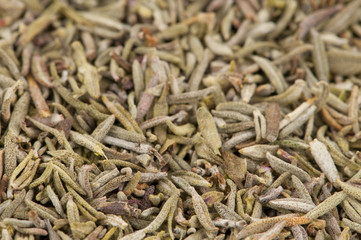 Thyme