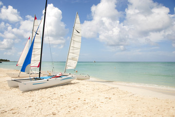 Hobie Catamaran Sailboats on the Beach