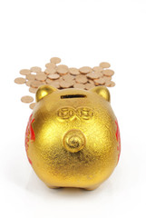 Piggy bank