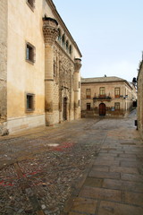 Palacio de Jabalquinto Baeza Jaen province Andalusia Spain