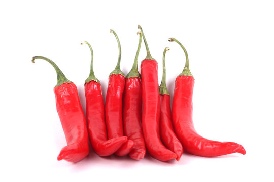 chilischoten