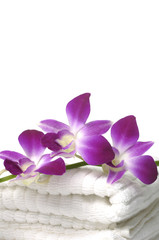 Pink Orchids and towel
