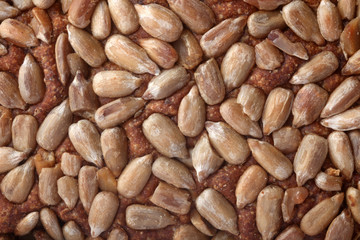 Brown bread sunflower seeds texture in close-up
