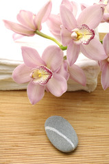 beautiful pink orchid on towel and zen stone
