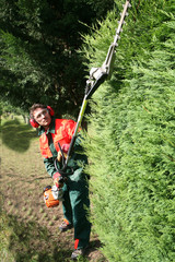jardinier paysagiste taille et entretien la v&eacute;g&eacute;tation