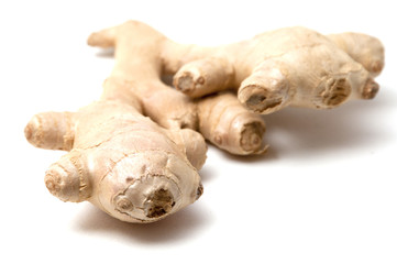 The root of ginger