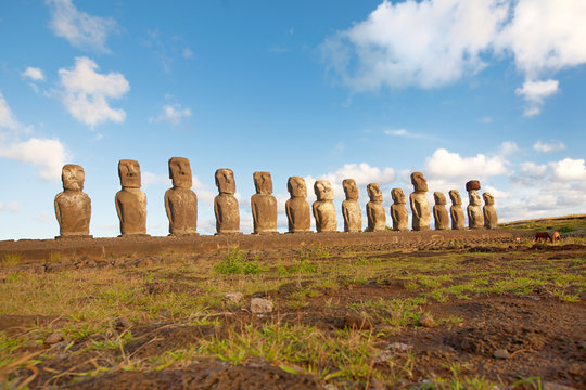 Statues at easter island