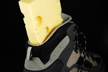 Stinkstiefel q.