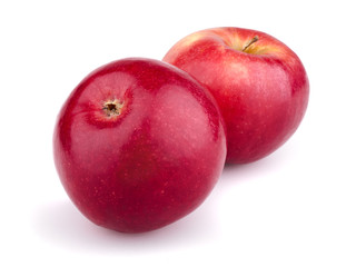 Two red apples isolated on white background