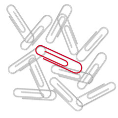 Paper Clips on the white