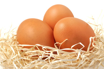 Uova nel nido