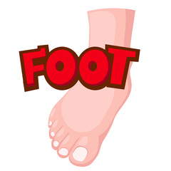 Foot