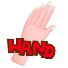 Hand