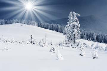 winter landscape