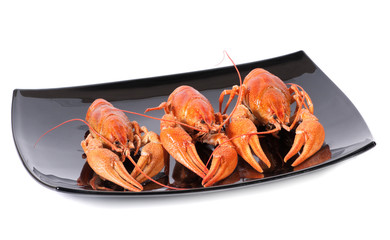 Plate of red boiled lobsters