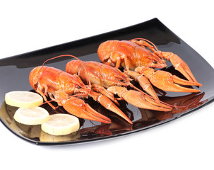 Plate of red boiled lobsters