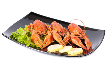Plate of red boiled lobsters
