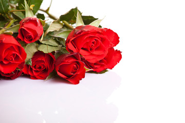 Obraz na płótnie Canvas Red roses on white isolated background