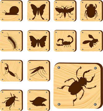 Set wooden buttons - 145_W. Insects