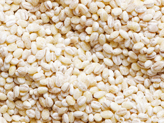 pearl barley