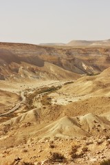 Desert trail