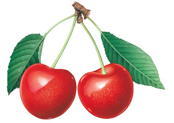 Cherry