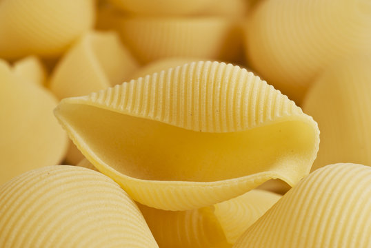 pasta artigianale trafilata al bronzo 2