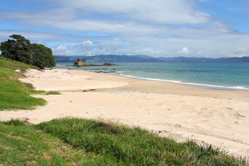 Fototapeta na wymiar Coromandel - plaża w Nowej Zelandii