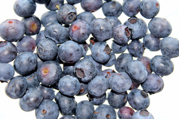 Fresh Organic Blueberries