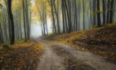 Foto auf Acrylglas Straße durch einen nebligen Wald mit schönen Farben im Herbst © andreiuc88