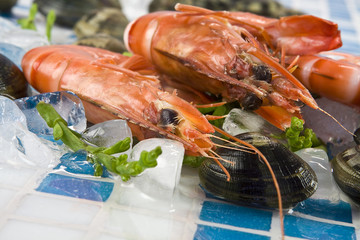 Garnelen auf Eis mit Venusmuscheln