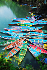 Colorful tour boats