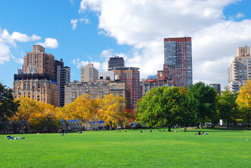 Fototapeta premium New York City Manhattan Central Park