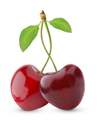 Isolated cherries. Two heart shaped sweet cherries with intertwined stems isolated on white...