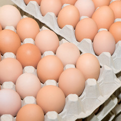 Eier, Hühnereier, Grundnahrungsmittel, Ostern naht!