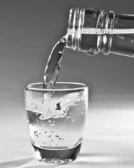 Wodka