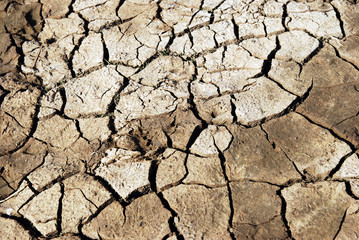 Ground