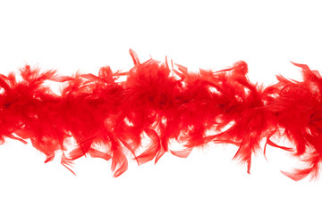 red feathers-boas - obrazy, fototapety, plakaty