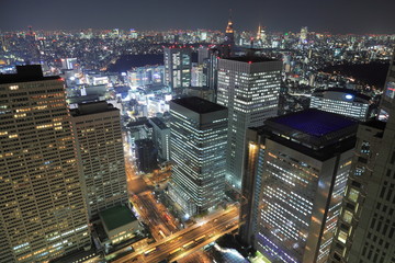 Fototapeta na wymiar Wgląd nocy Shinjuku